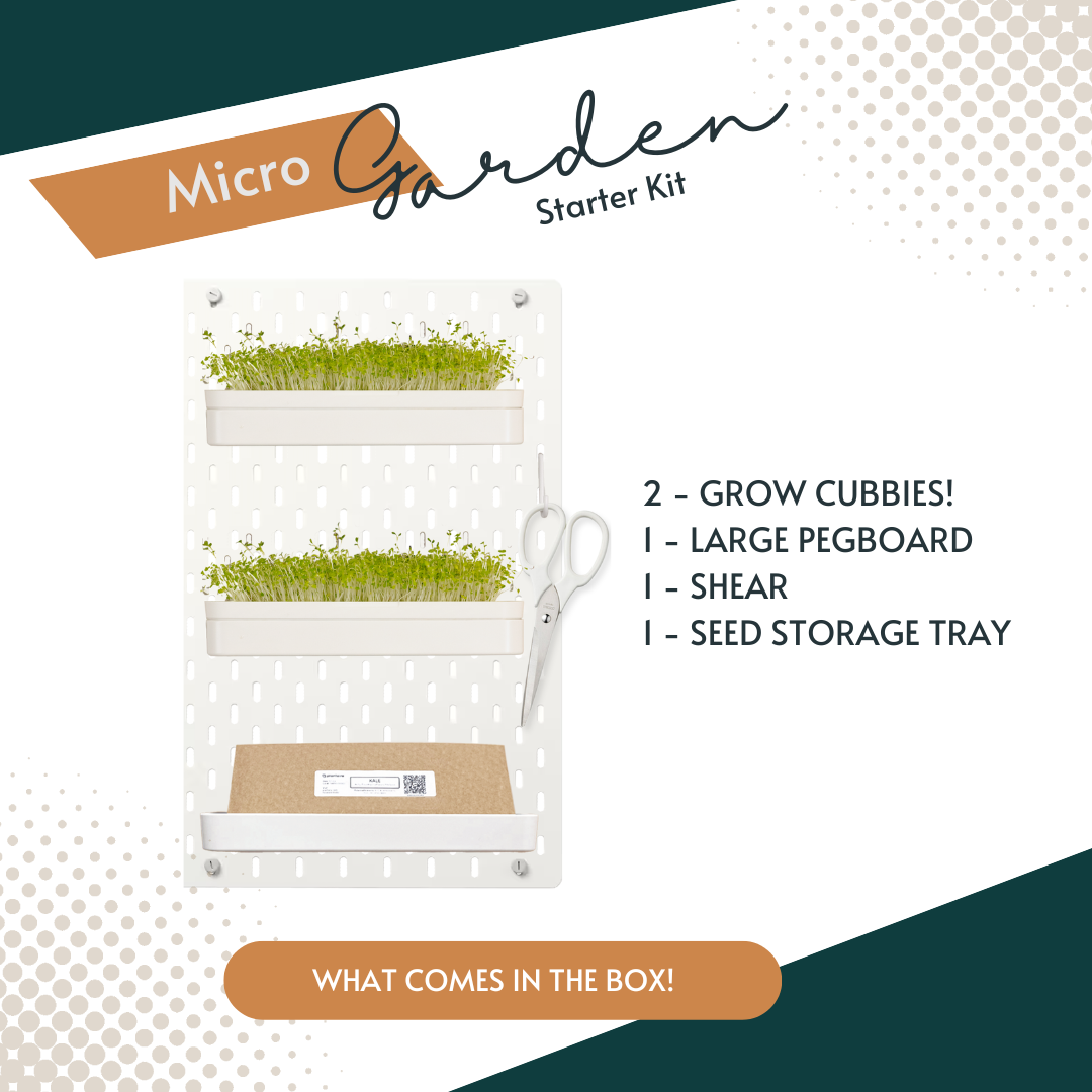 Plantaire Wall Garden - Large Starter Package