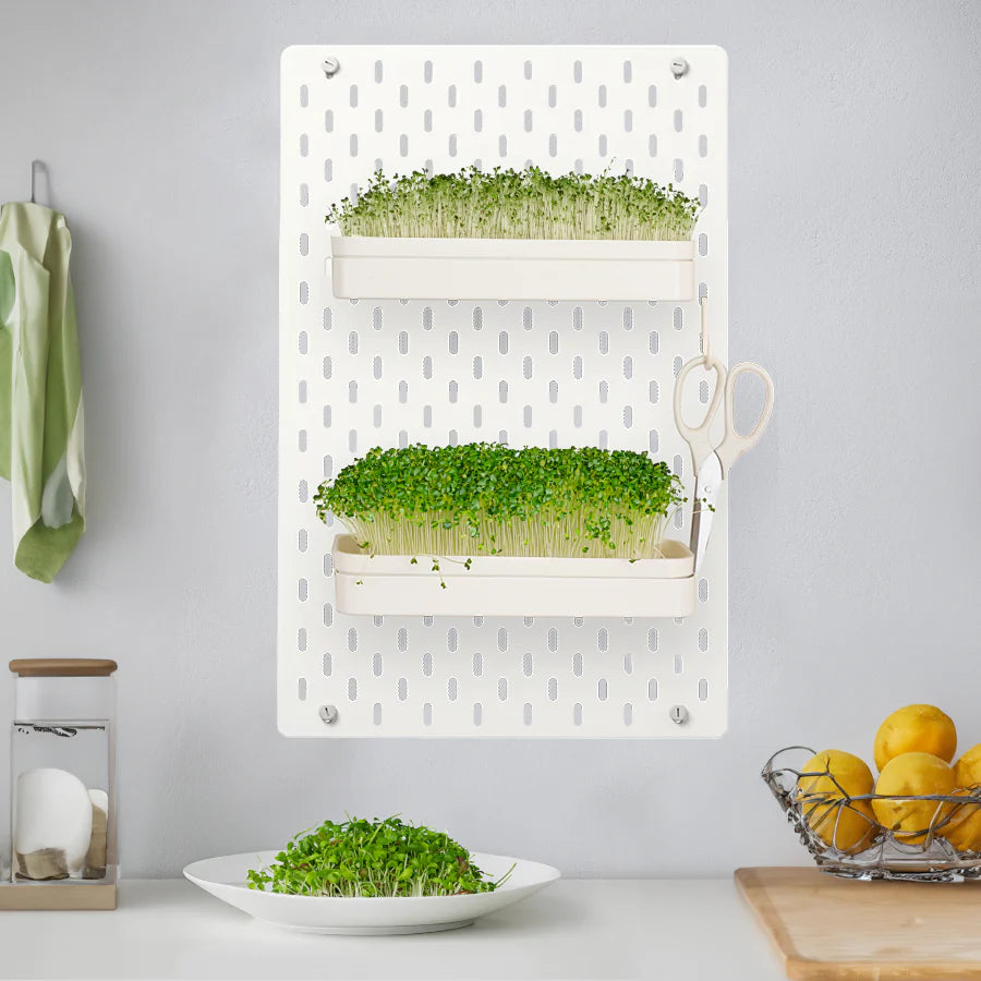 Plantaire Wall Garden - Large Starter Package