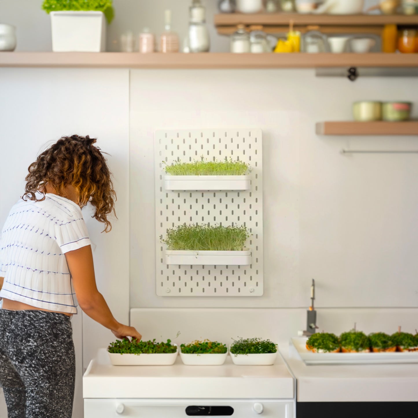 Plantaire Wall Garden - Large Starter Package