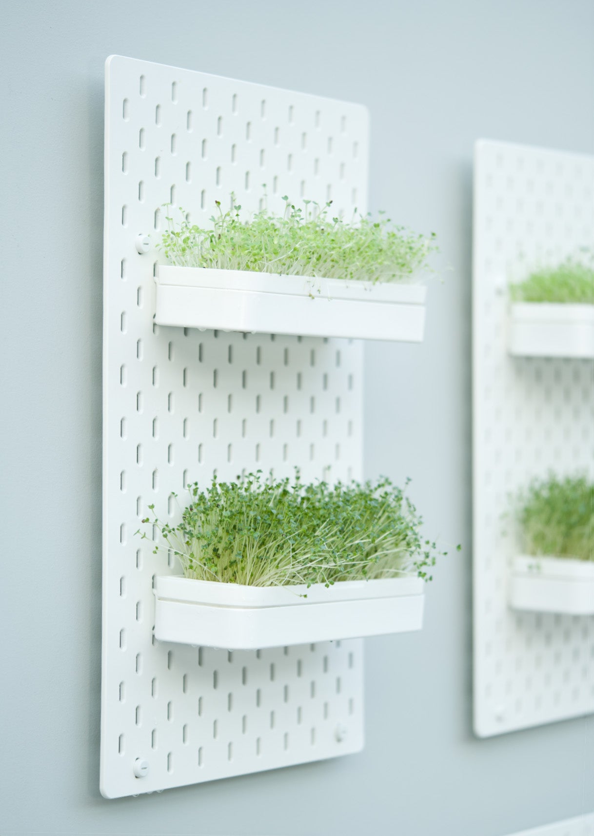 Plantaire Wall Planter