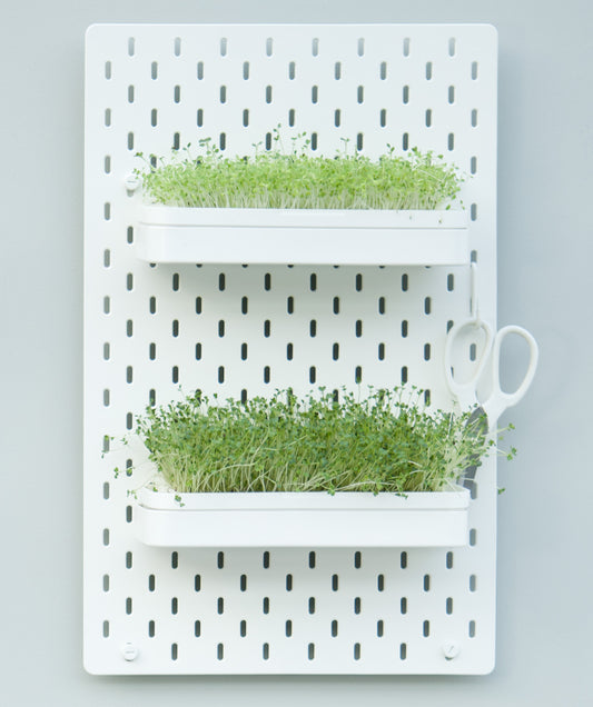Plantaire Wall Planter